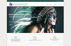 Native Business Solutions, LLC, Responsive website design